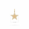 Charm Hollywood Star Diamonds 18K Gold