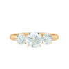 Anello Y (vista frontale)