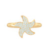 Ring Star (front view)