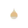 Charm disc Y