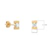 Nagin Premium Stud Earrings