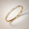 505 95 170 10-2 Goldenes Fee (s)